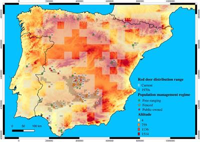 Deciphering Anthropogenic Effects on the Genetic Background of the Red Deer in the Iberian Peninsula